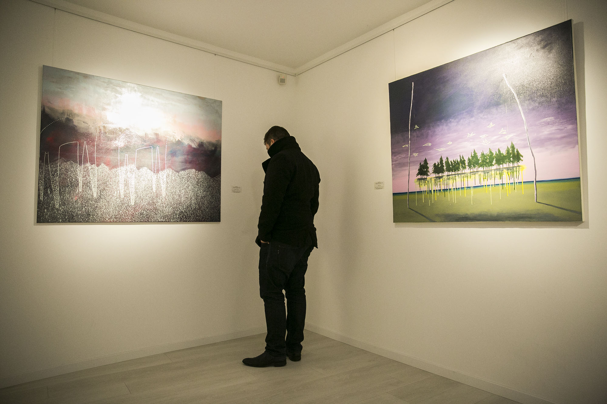 Benkő Lilla kiállítás 2016.11.14. Fotó: Horváth Péter Gyula