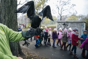 A városligeti madárbarát kert és tanösvény megnyitója 2016.11.11. Fotó: Hováth Péter Gyula