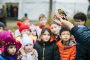 A városligeti madárbarát kert és tanösvény megnyitója 2016.11.11. Fotó: Hováth Péter Gyula
